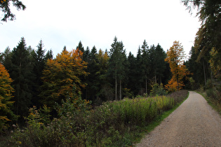 weiter oben, Blick bergauf