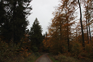 Kammweg, Blick nach Südosten