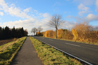 Kollrothshöhe, Ostrampe, Blick bergauf