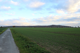 zwischen Großen Holz und Northen, Blick zum Benther Berg, …