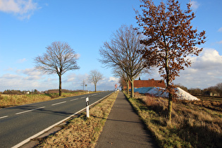 Blick auf Kollrothshöhe, …