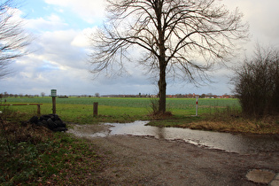 „Autoreifenlager“ am Großen Holz