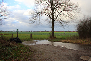 „Autoreifenlager“ am Großen Holz