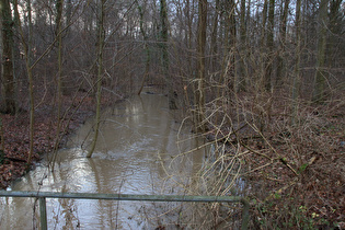 die Kirchwehrener Landwehr, Blick flussabwärts …