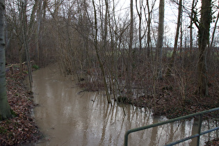 … und Blick flussaufwärts