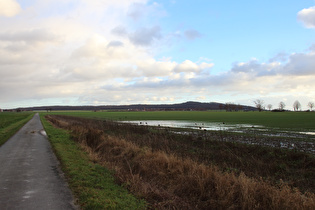 südlich vom Großen Holz, Blick zum Benther Berg …