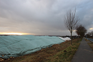 Kollrothshöhe, Westrampe, Blick zum Deister