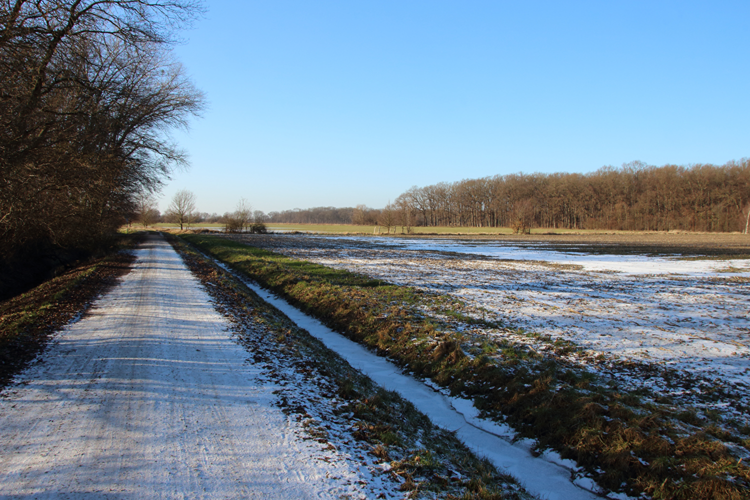 Calenberger Land (Velberholz)