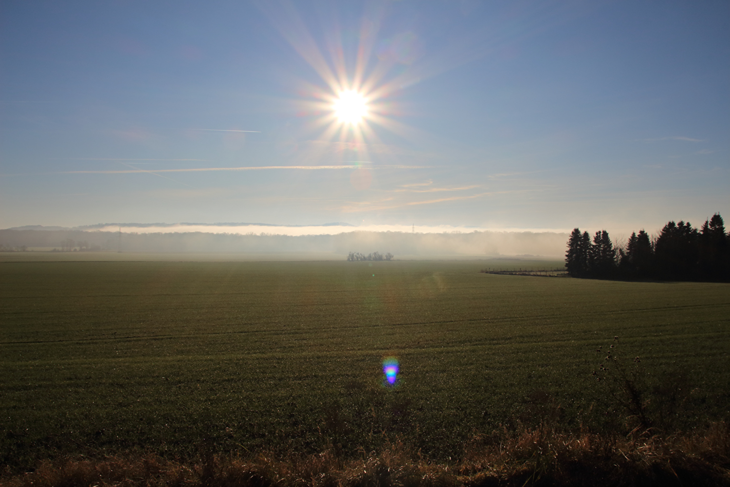 Calenberger Land (Kollrothshöhe)